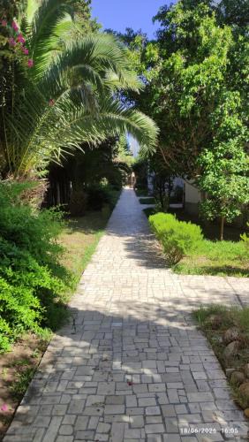 Yasmine Apartment | Appartement à Yasmine Hammamet Comfortable proche plage & marina