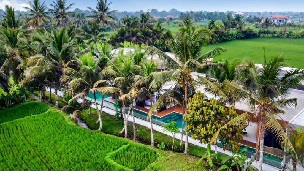 Sayan Villa | Green Flow Villa 2 Ubud