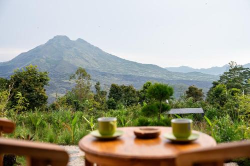 Kintamani Hotel | Lava Mist Kintamani