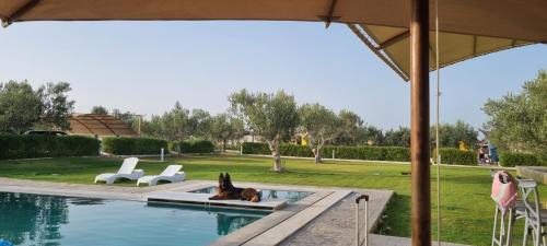 Monastir House | Maison dolce vita