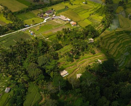 Penebel Other | Nadi Nature Resort - Adults Only