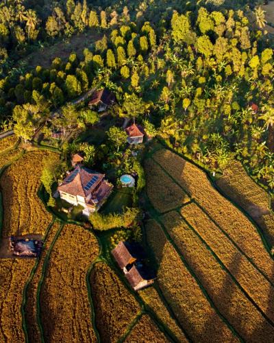 Munduk House | North Bali Eco Cabin Nature Retreat