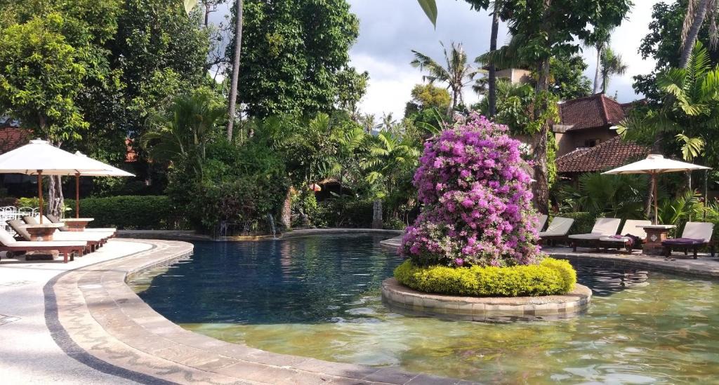 Lovina Hotel | Rambutan Hotel