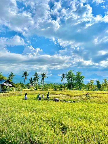 Anturan Hotel | Rumi Bumi Lovina - A Home For Unhurried Days