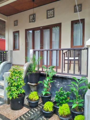Amed House | Villa coral Cafe