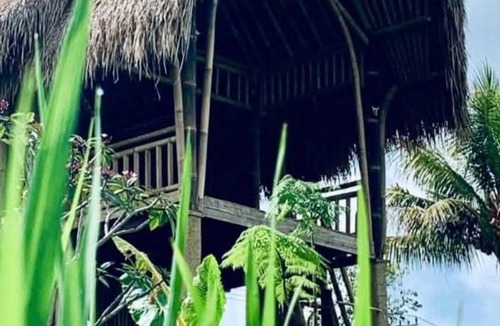 Susut Villa | Aska Bamboo House