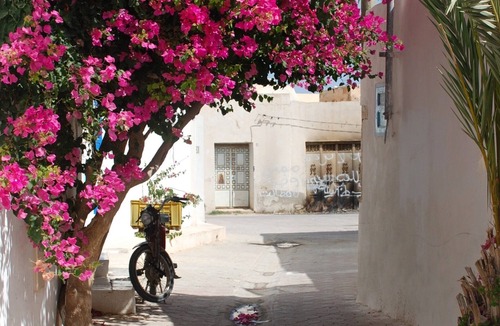 Erriadh House | DAR AZIZA - Holiday heritage home with private pool in Erriadh, sleeps 3