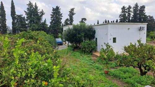 Qurbus Villa | Dar Zakia