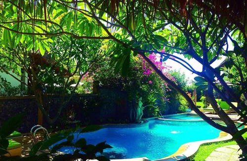 Amed House | Life in Amed Beach Hotel