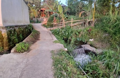 Munduk Villa | one homestay cabin