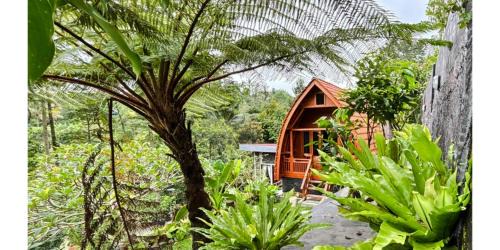 Penebel House | Pondok Bali Eco Living Guesthouse
