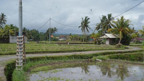 Tampaksiring House | Puri Acyuta