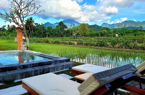 Goris House | Umma Bali Menjangan