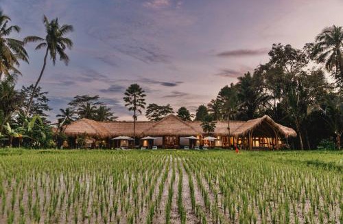 Melayang Hotel | Villa Jepun