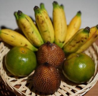 Nyambu Bed & Breakfast | Villa Orange