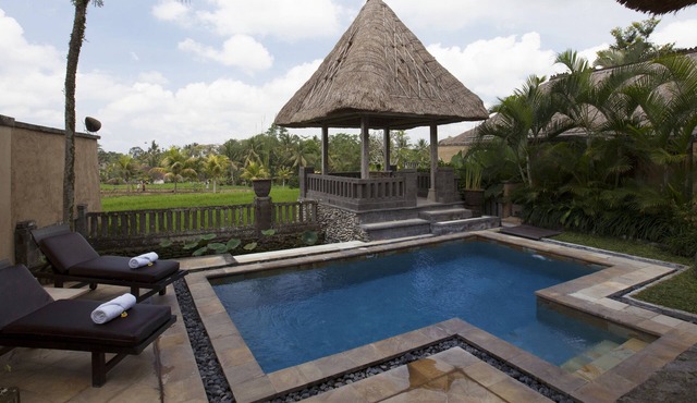 1 Bedroom Pool Villa with Ricefield view in Ubud