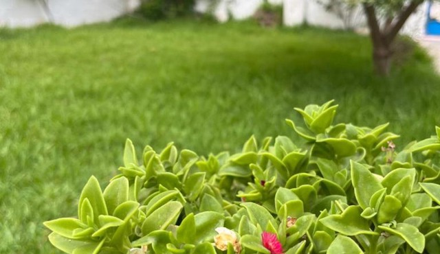 3 bedroom Villa with garden