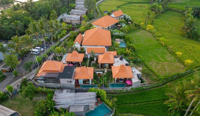 Bi Bi Bliss Ubud Villa