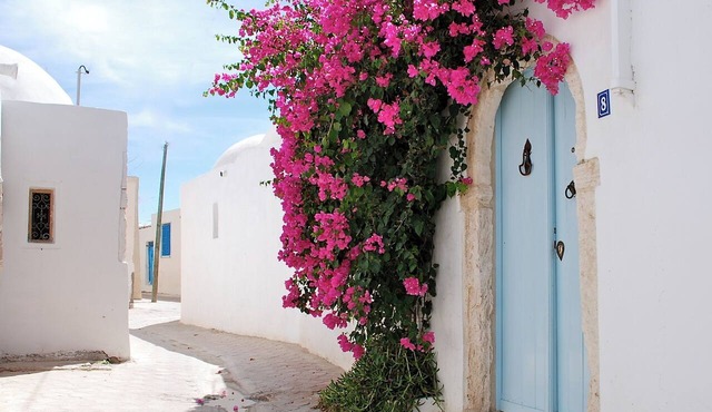 DAR AZIZA - Holiday heritage home with private pool in Erriadh, sleeps 3