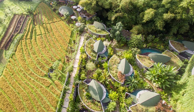 De Moksha Eco Friendly Boutique Resort