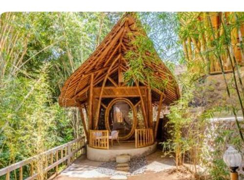 EcoBamboohouse salacca