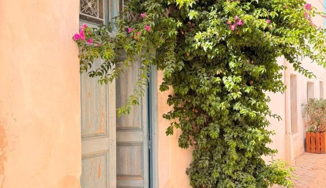 Entre art et tradition, au cœur de Djerbahood