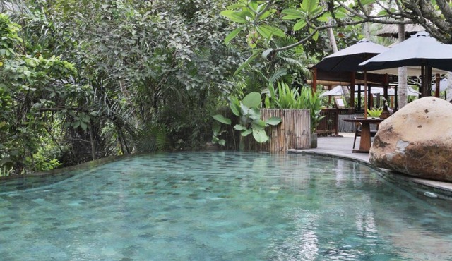 Feel Serenity in the Jungle, luxury accommodation in Ubud Riverside