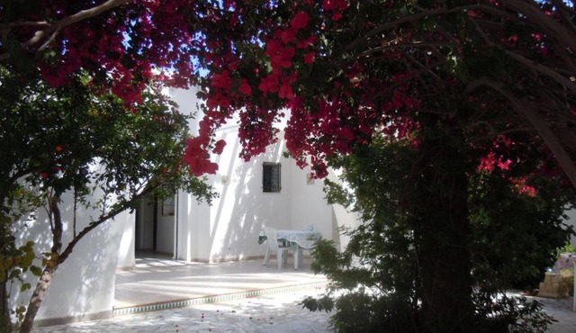 House with Garden Wala