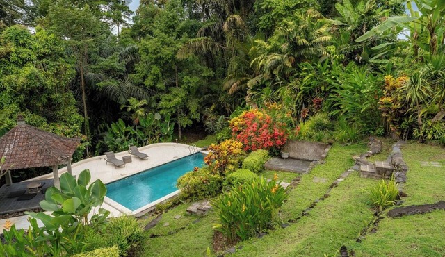 Hutan Sawah Villa