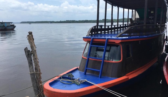 Orangutan Houseboat Park Tanjung Puting