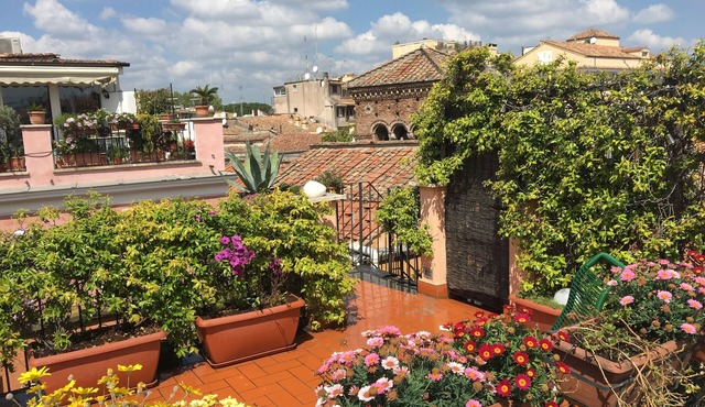 PENTHOUSE with PRIVATE PANORAMIC ROOF TERRACE, Old Historical centre, Trastevere in Roma