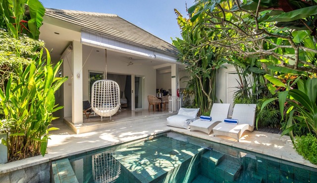 Private Jungle Pool Jungle Views Near Ubud