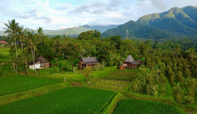 Sunset Sala- Experience the REAL Bali