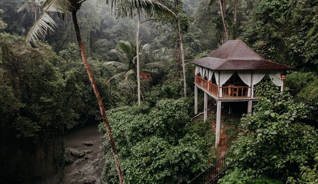 Ubud Sanctuary | Lush Surroundings | Quiet Stay