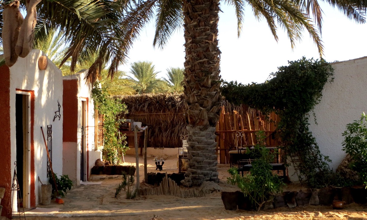 Douz House | house near sahara in douz