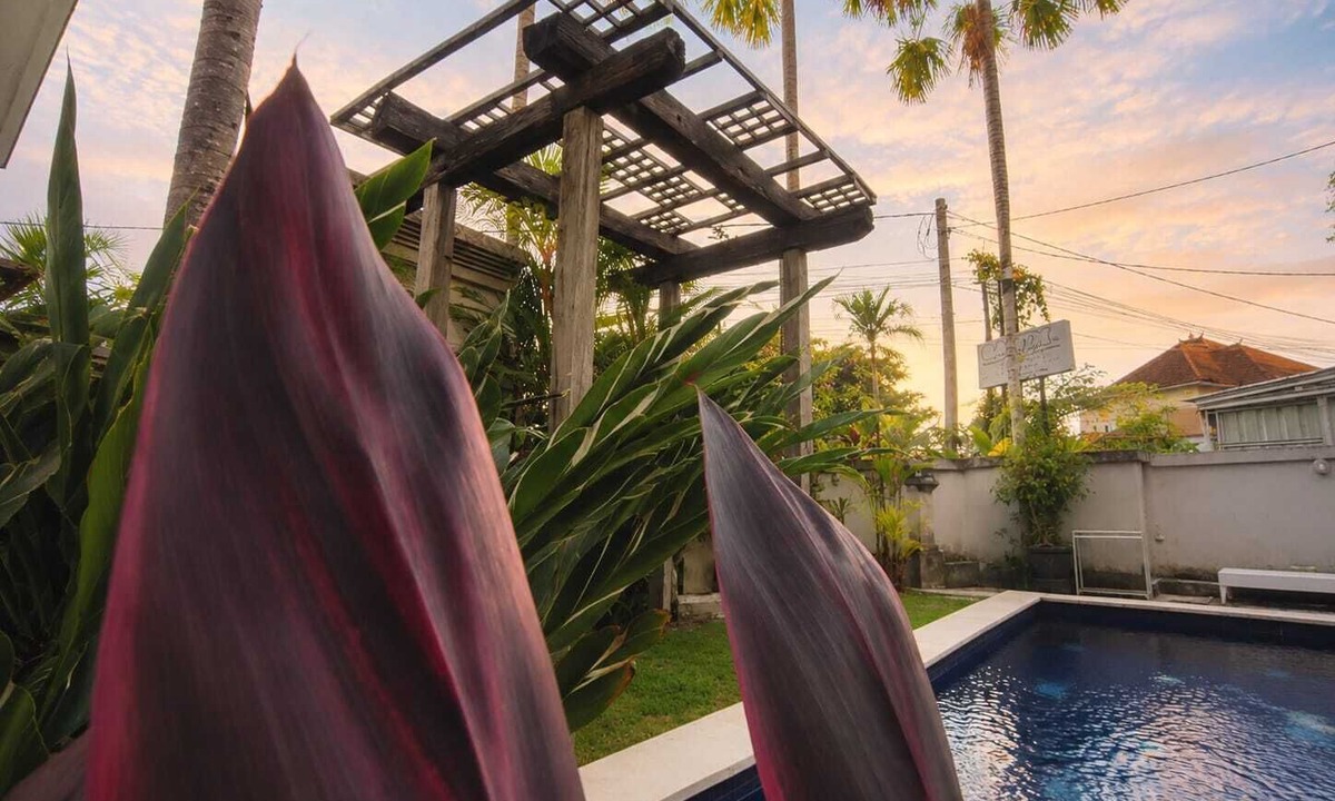 Cepaka Apartment | Hotel Lilis Ikvala Radha Canggu