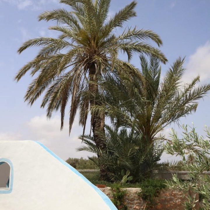 Hawmat al Badawiyin House | Dar Mimouna Djerba