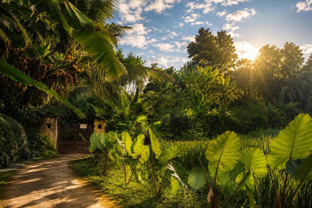 Sayan Apartment | Jungle Hideaway Villas 4 - River Cafe