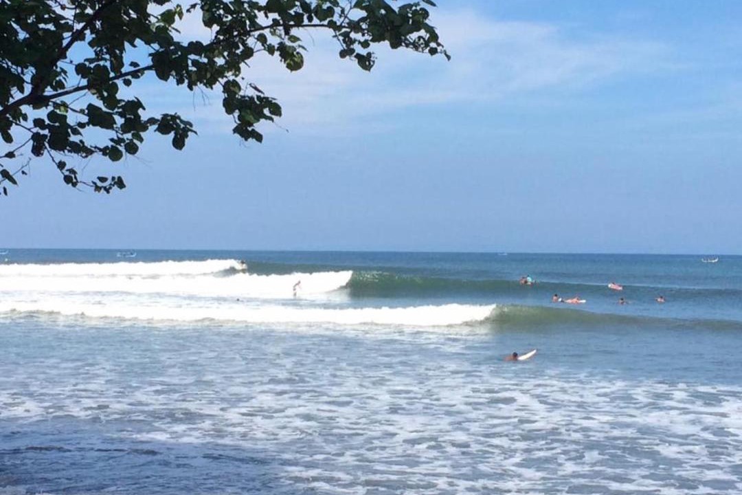 Medewi House | Medewi Surf Villa
