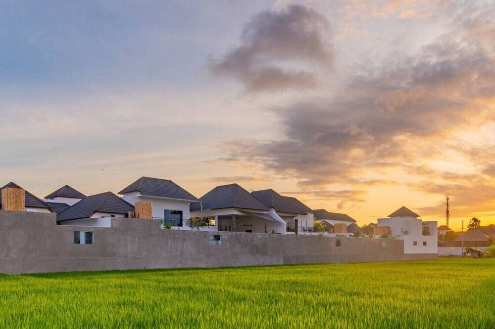 Photo of Others in Drupadi
