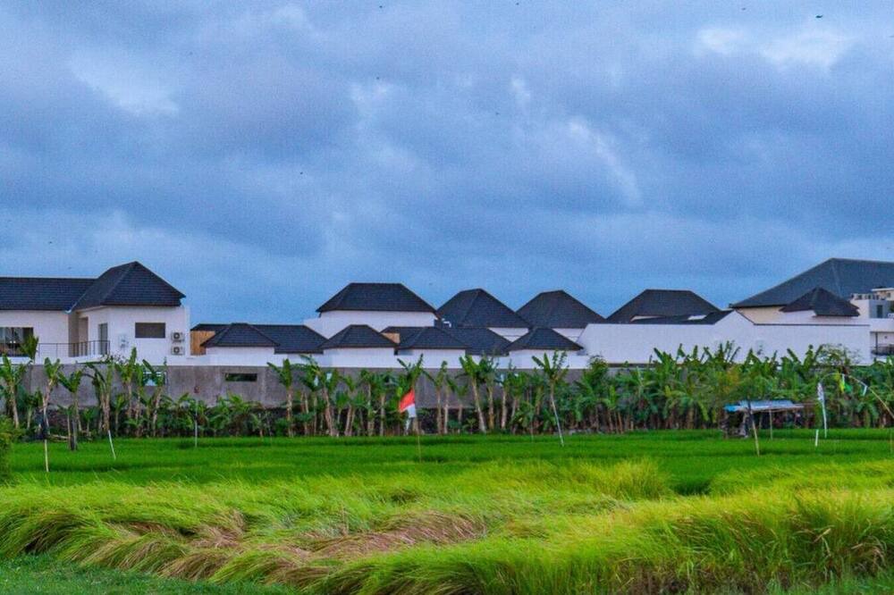 Photo of Others in Drupadi