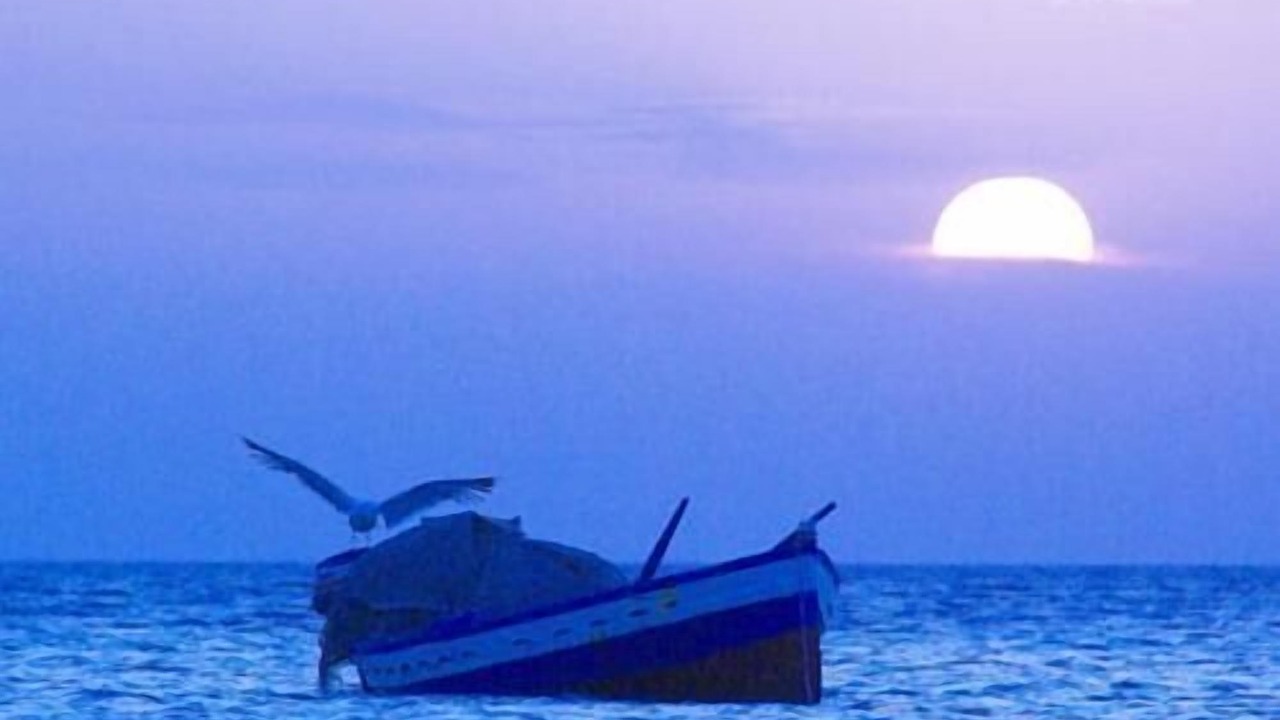Photo of Others in Djerba Ajim