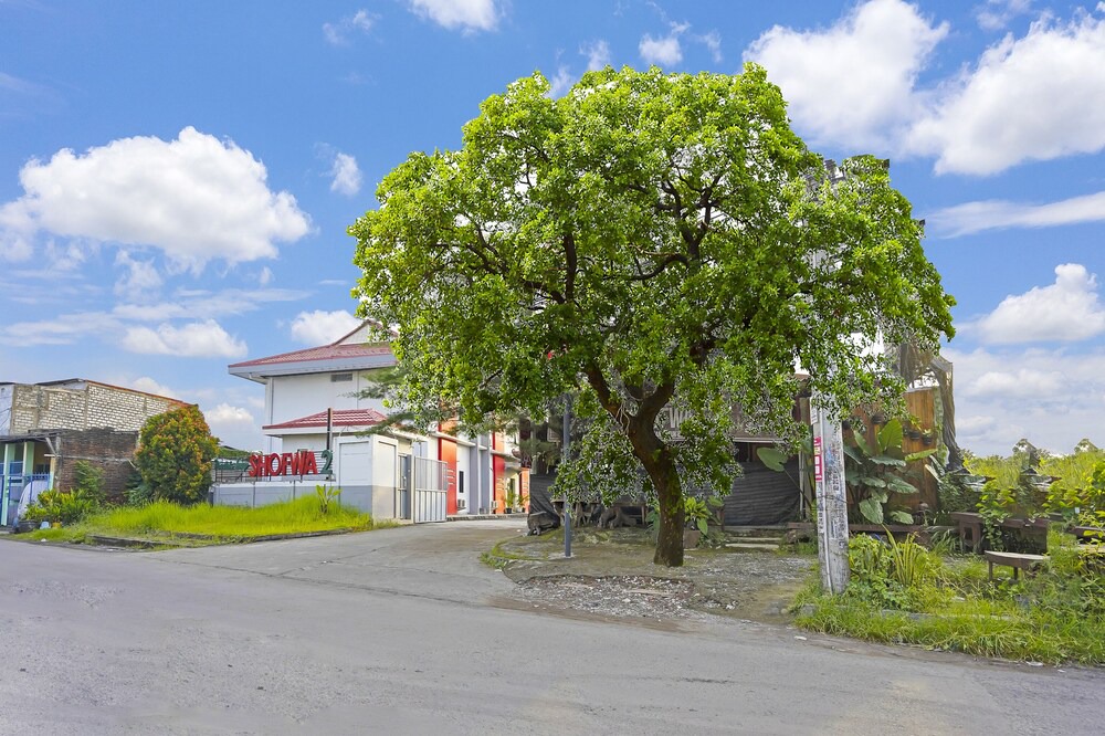 Photo of Outdoor in Waru