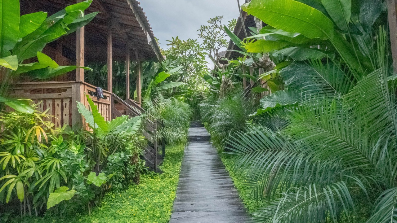 Photo of Outdoor in Batu Bolong