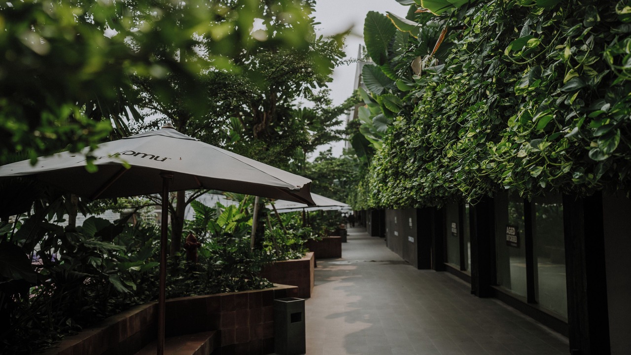 Photo of Outdoor in Berawa