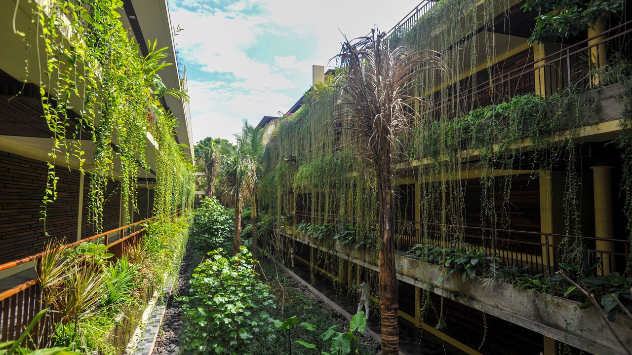 Photo of Outdoor in Ubud City-Centre