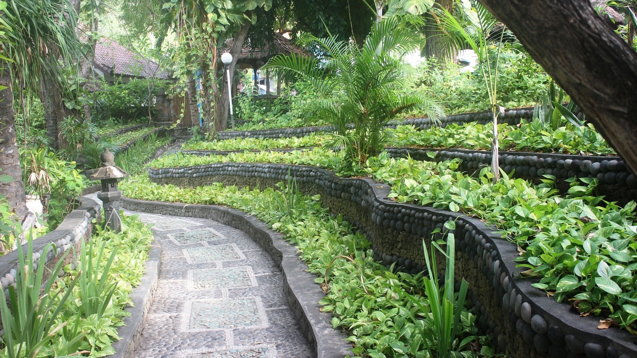 Photo of Outdoor in Purwakerti