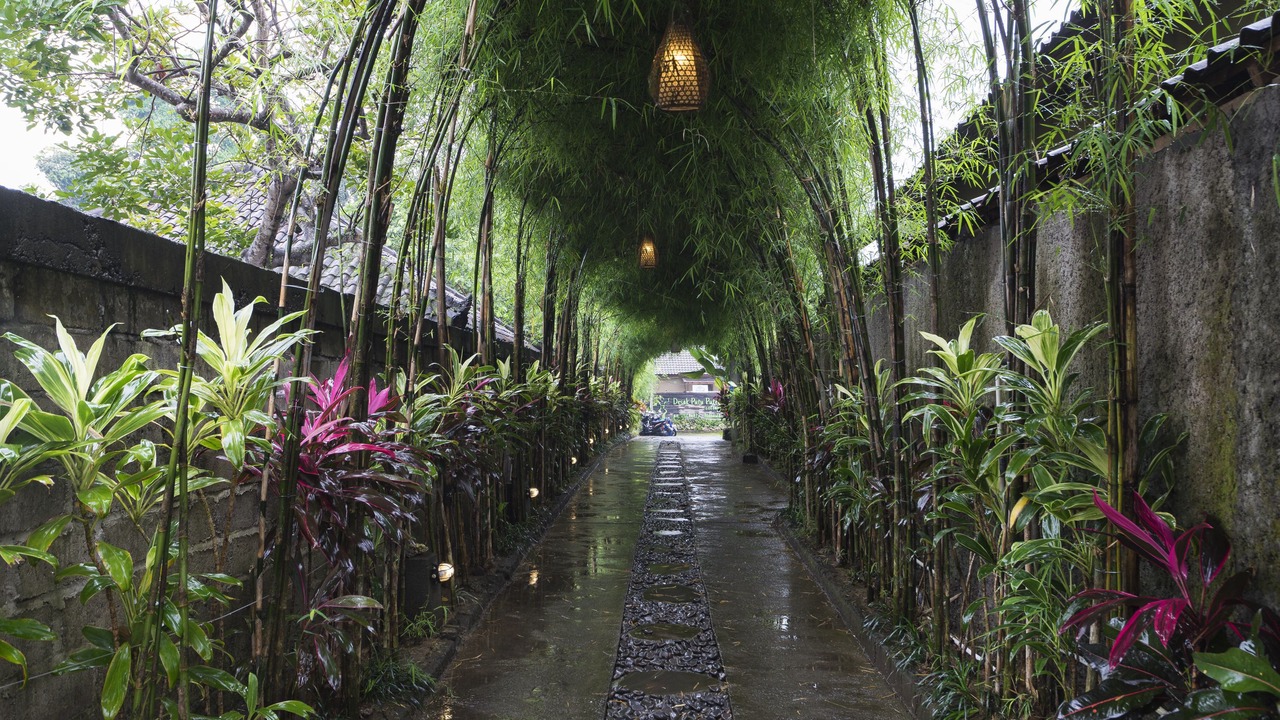 Photo of Outdoor in Peliatan