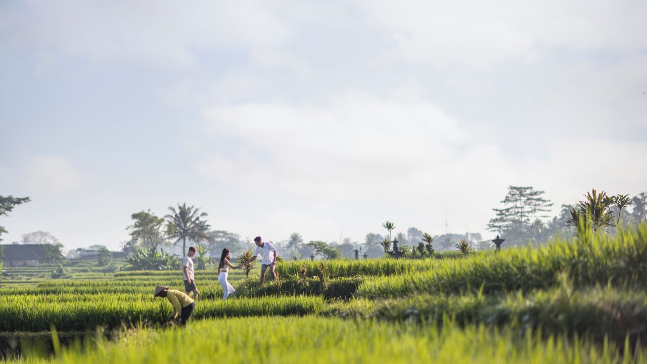 Photo of Outdoor in Kedewatan