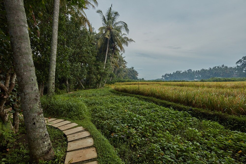 Photo of Others in Lodtunduh